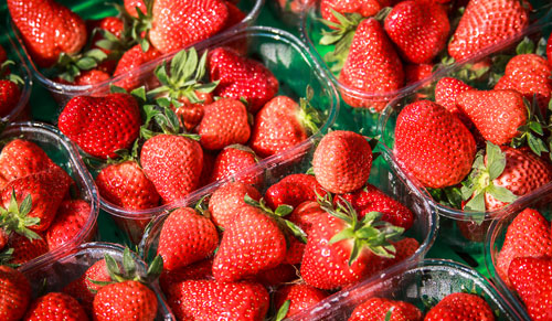prodotti_fragole_500x291